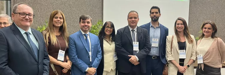 SDE participa de encontro interestadual promovido pela ABIN sobre oportunidades e desafios das terras raras