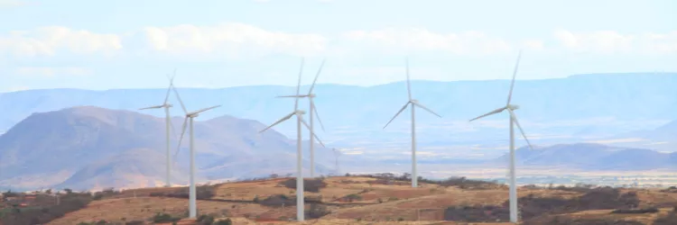 Dia Mundial do Vento destaca liderança da Bahia na geração de energia eólica