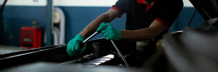 Bahia é líder na geração de empregos por micro e pequenas empresas no Nordeste no primeiro quadrimestre
