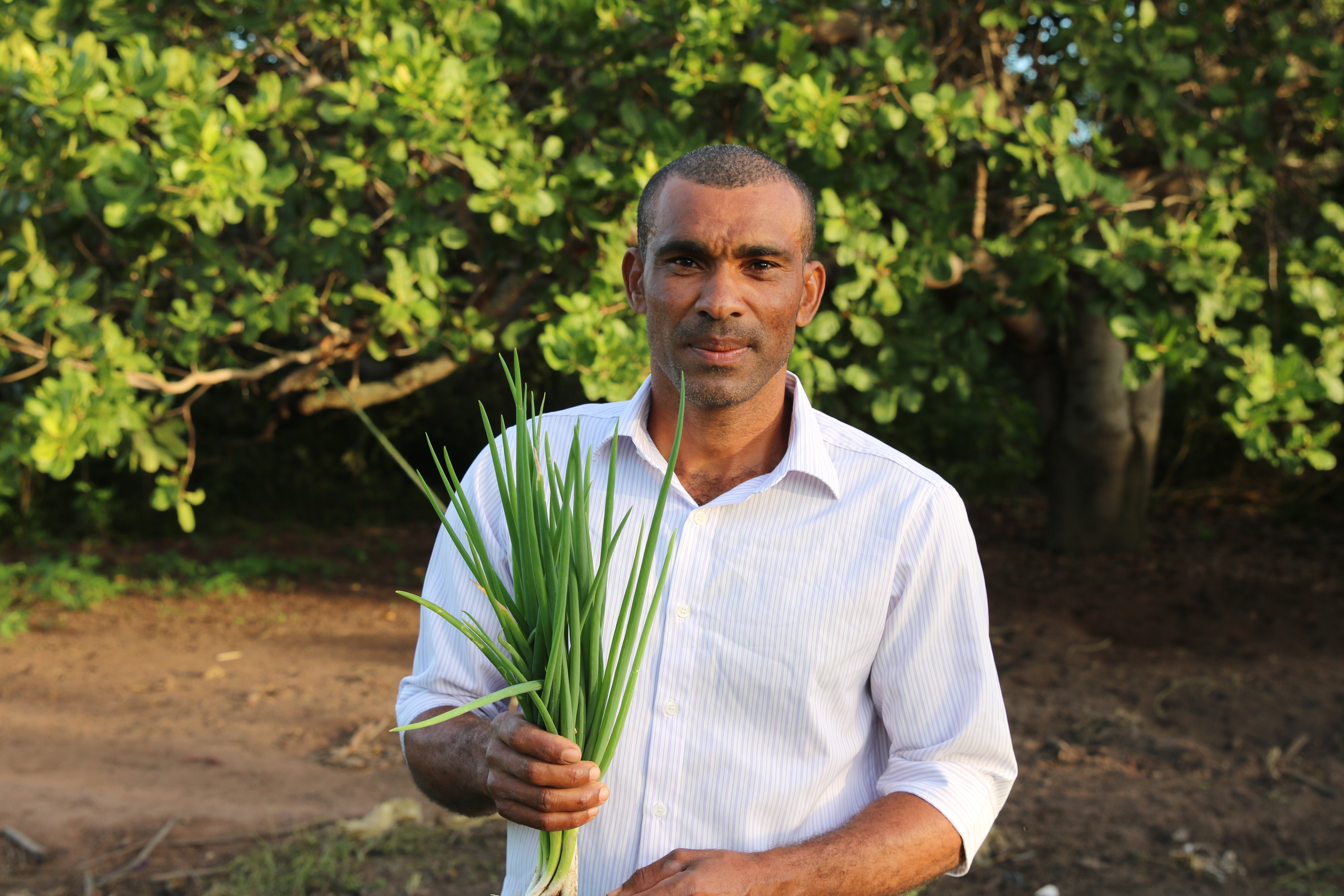 Viva Horta impulsiona a agricultura familiar e transforma a realidade de famílias de Santo Estêvão