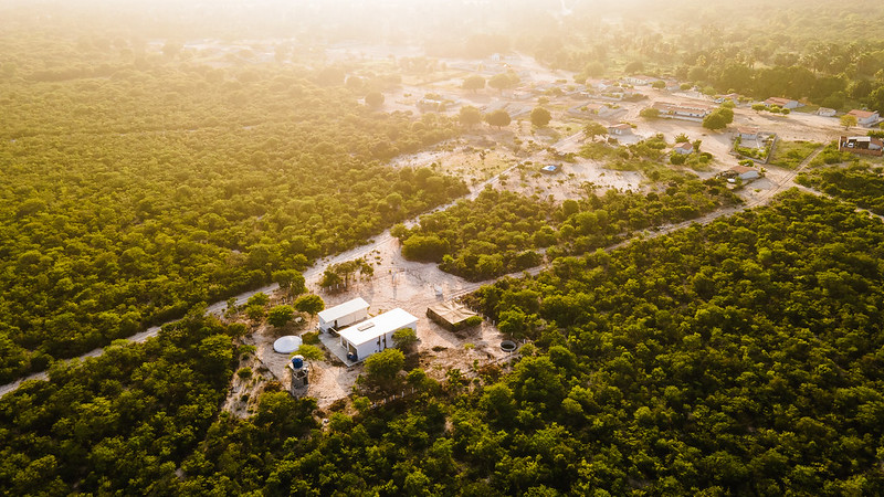 Bahia celebra o Dia Mundial do Meio Ambiente com avanços em sustentabilidade, conservação e geração de renda