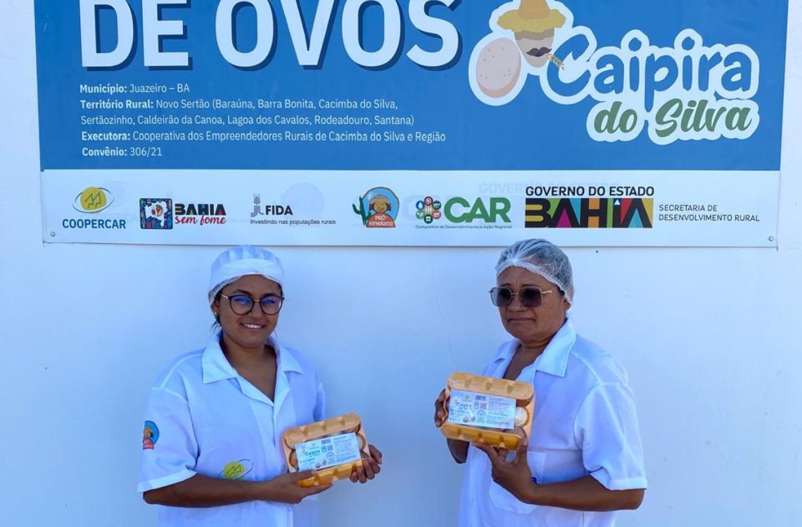 Comunidade de Juazeiro comercializa mais de 100 mil ovos por mês com apoio de unidade classificadora