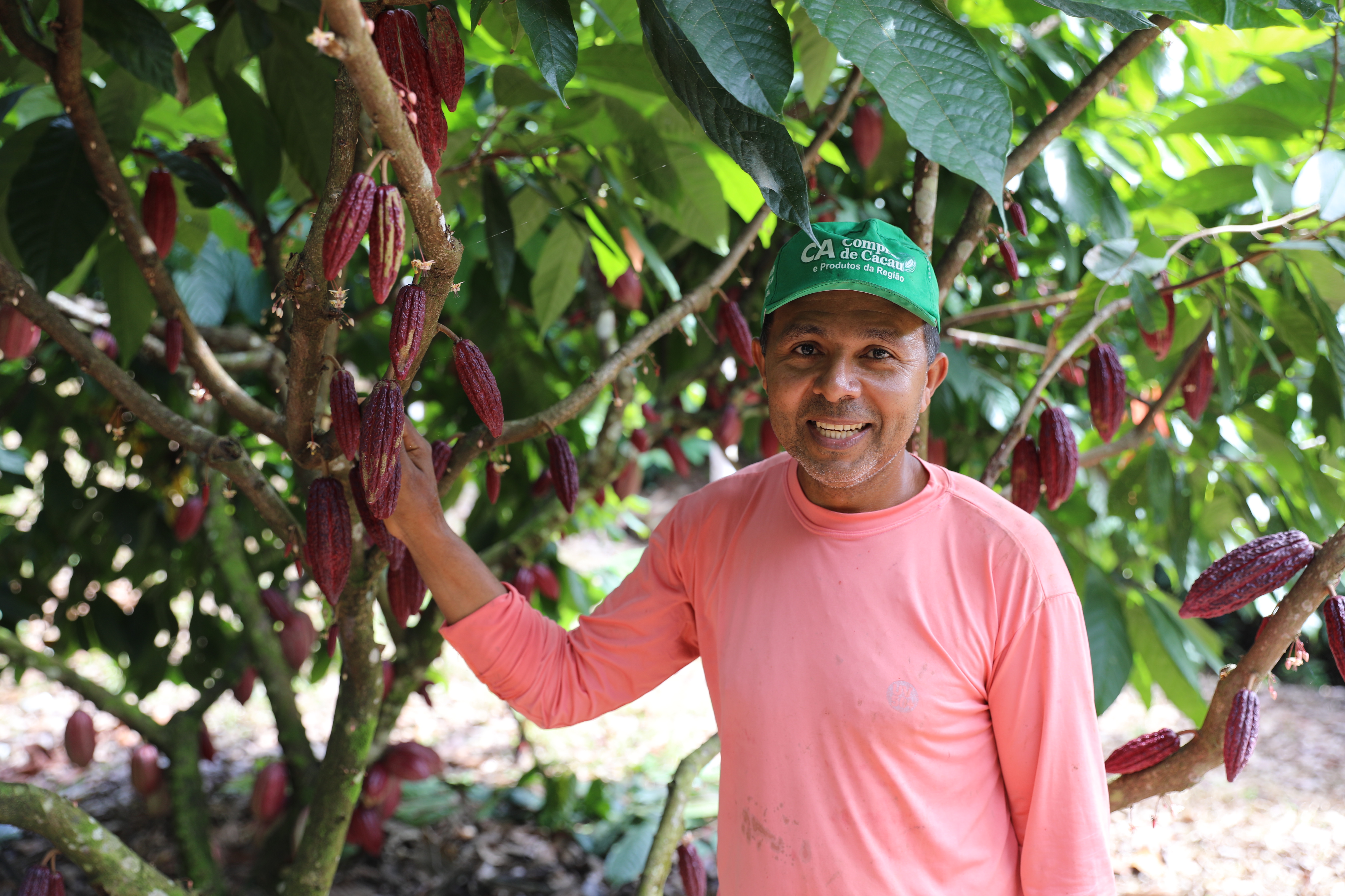 Bahia celebra Dia Mundial do Chocolate destacando a qualidade da produção da agricultura familiar