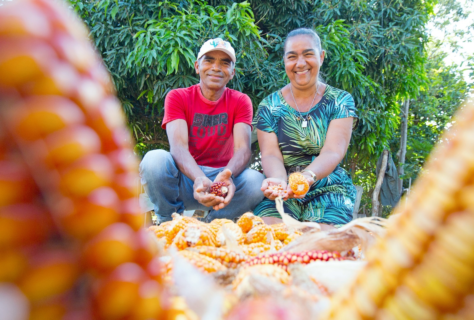 Bahia colhe inclusão, renda e desenvolvimento com a agricultura familiar no 1º semestre de 2025