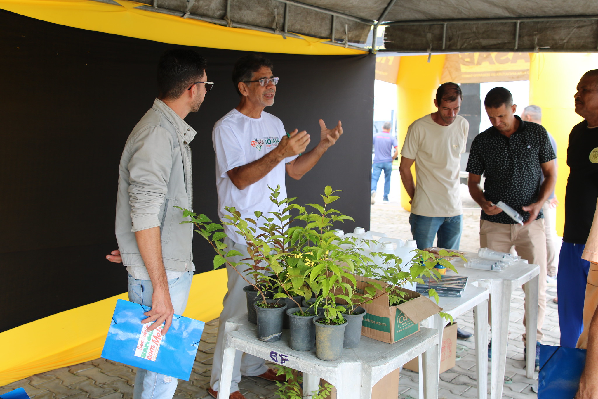 Bahia lança sistema para monitorar perdas de abelhas e fortalecer apicultura