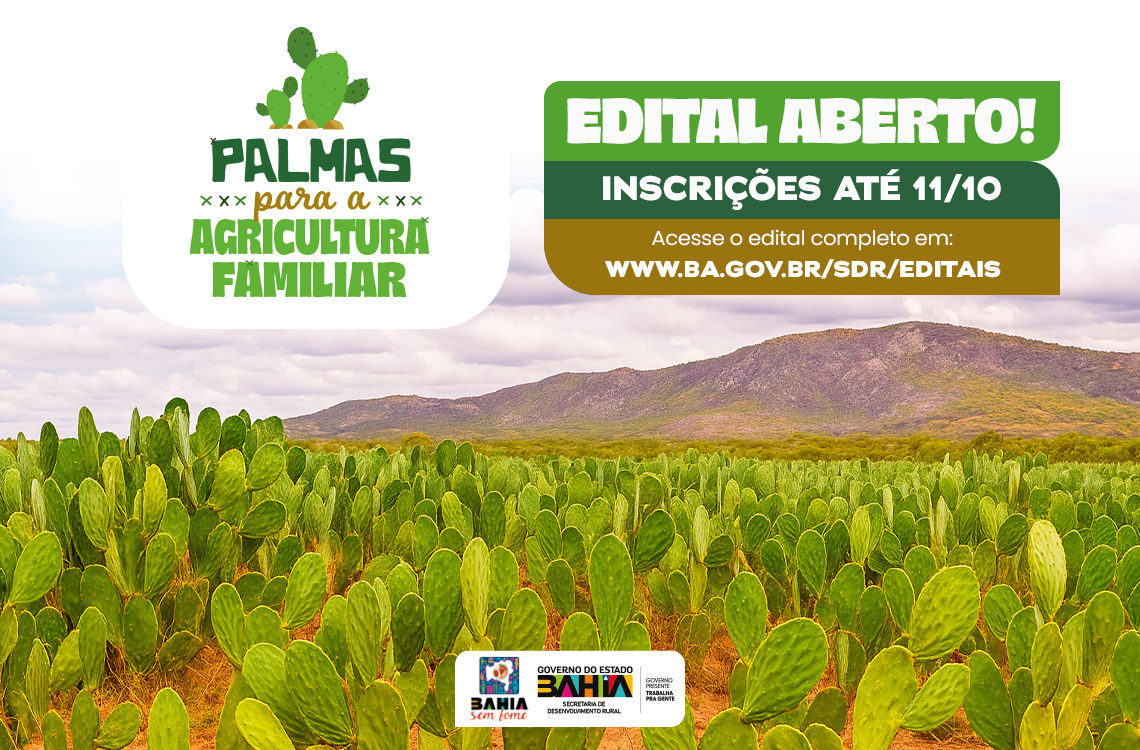 Governo do Estado lança chamada pública para produção e distribuição de mudas de palma forrageira