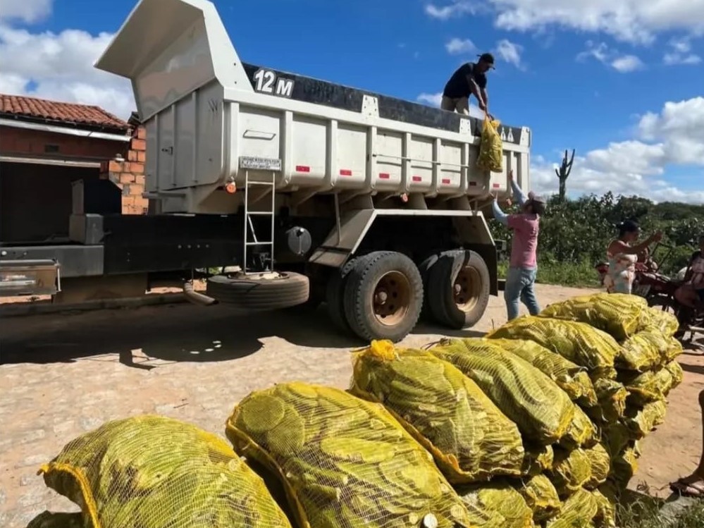 SDR encerra agosto com quase meio milhão  de palmas forrageiras entregues na Bahia