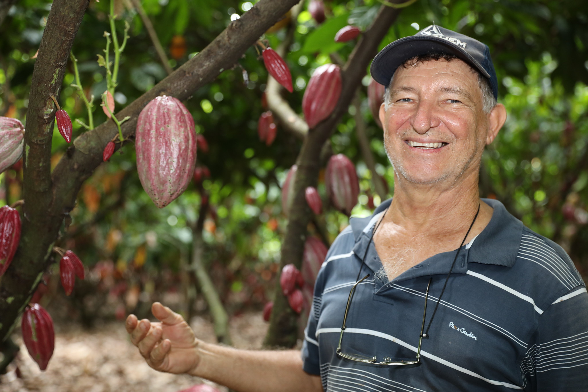 Governo da Bahia ganha protagonismo nacional com articulação para suspensão de importações de cacau da Costa do Marfim
