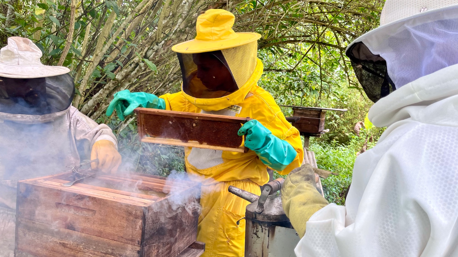 Governo da Bahia fortalece a apicultura no Recôncavo com entrega de 220 kits