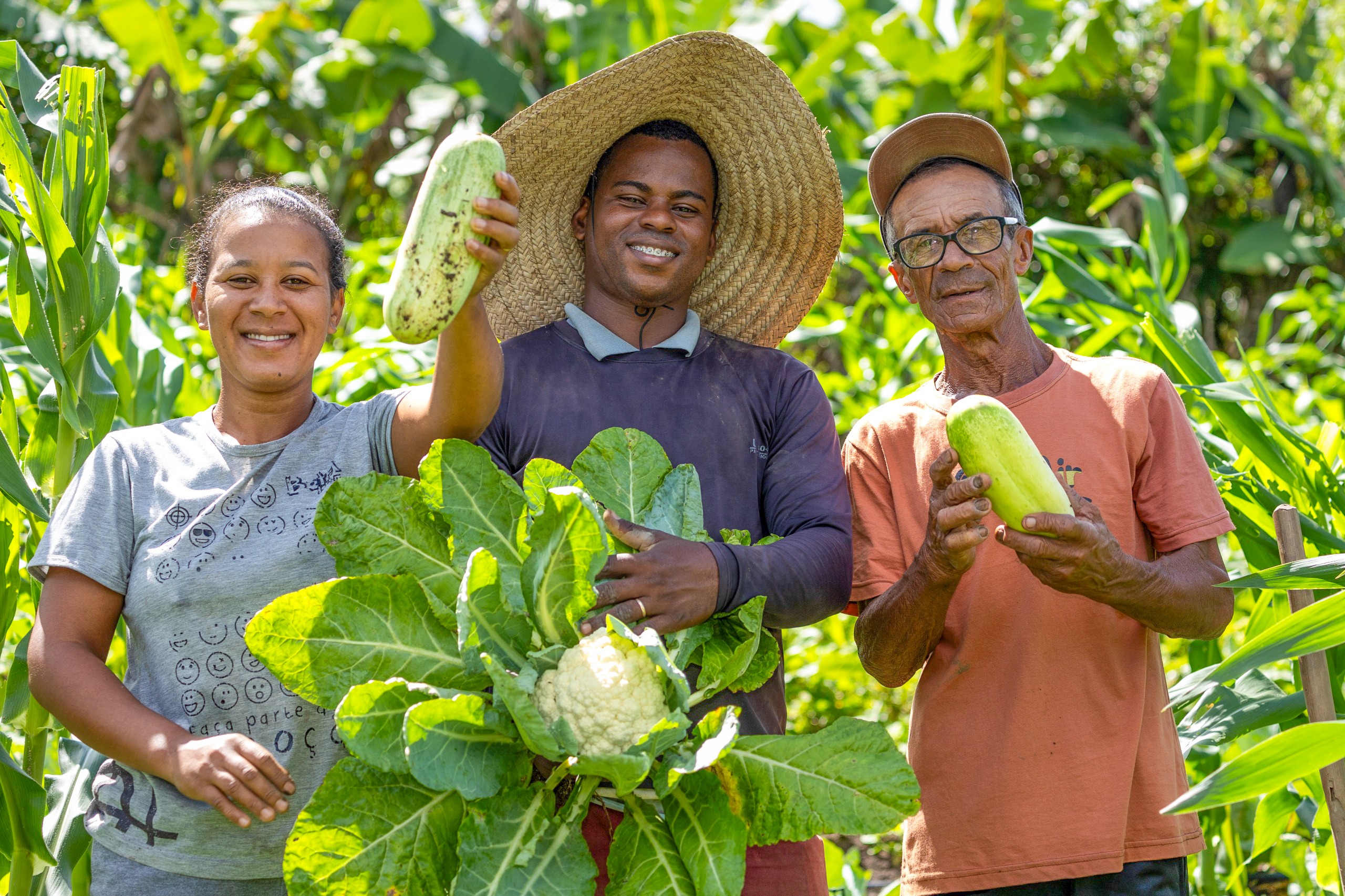 Bahia implementa Estratégia de Crédito Assistido e amplia acesso ao Programa Nacional de Fortalecimento da Agricultura Familiar