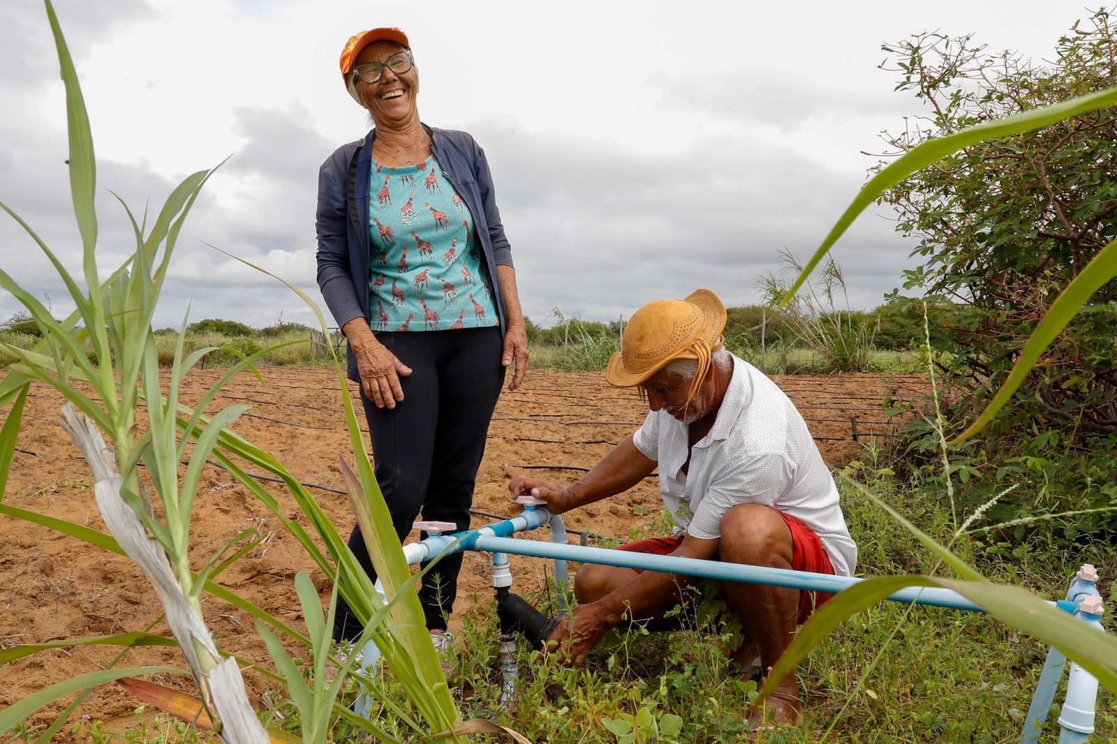 Dia Mundial da Água: ações da SDR ampliam acesso à água e fortalecem a produção no Semiárido Baiano