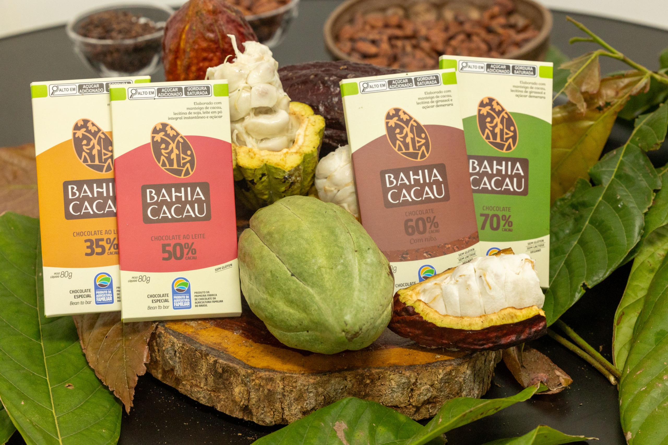 Bahia Cacau: pioneira no chocolate da agricultura familiar
