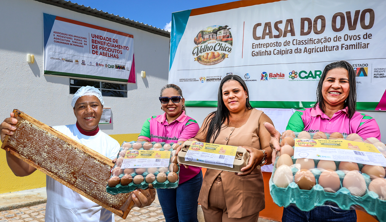 Morpará ganha unidade de mel e classificadora de ovos