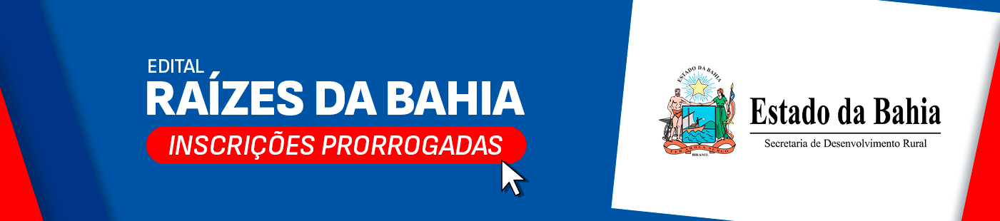 RAÍZES DA BAHIA