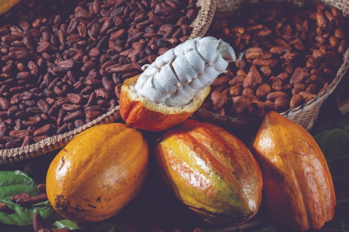 Ações para a cacauicultura de Ituberá são tema de reunião