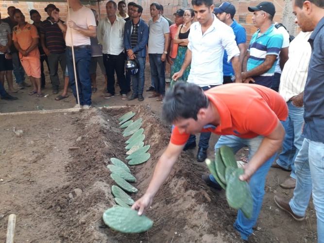 Agricultores familiares participam de seminário sobre Cultivo Intensivo da Palma