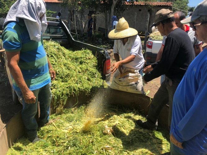 Bahiater fomenta capacitações sobre silagem