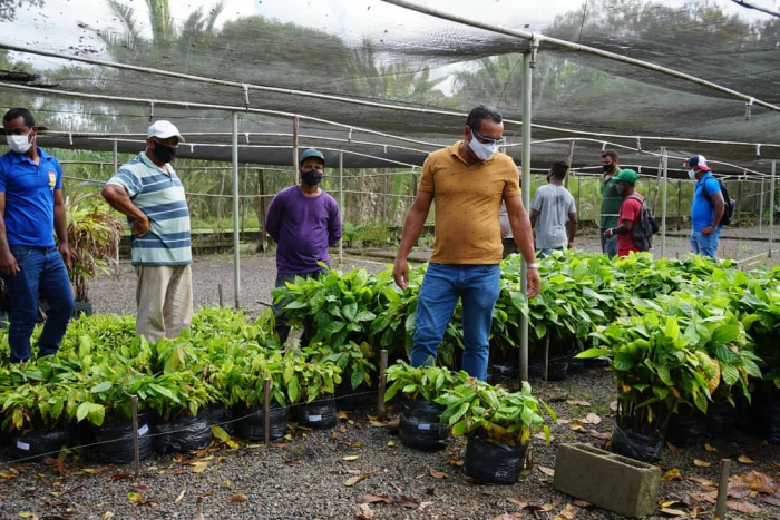 Biofábrica da Bahia e SDR entregaram mais de 50 mil mudas na primeira quinzena de abril