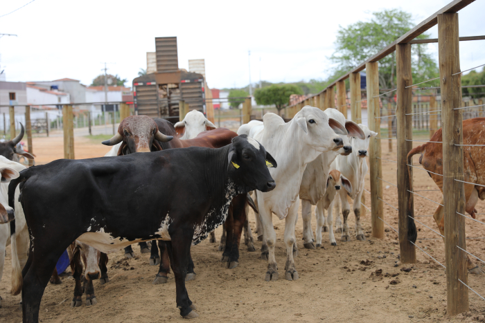 Fotos: Ítalo Oliveira/Ascom SDR