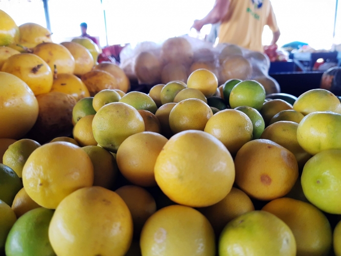 Feiras da agricultura familiar têm produtos para enriquecer a ceia da Páscoa