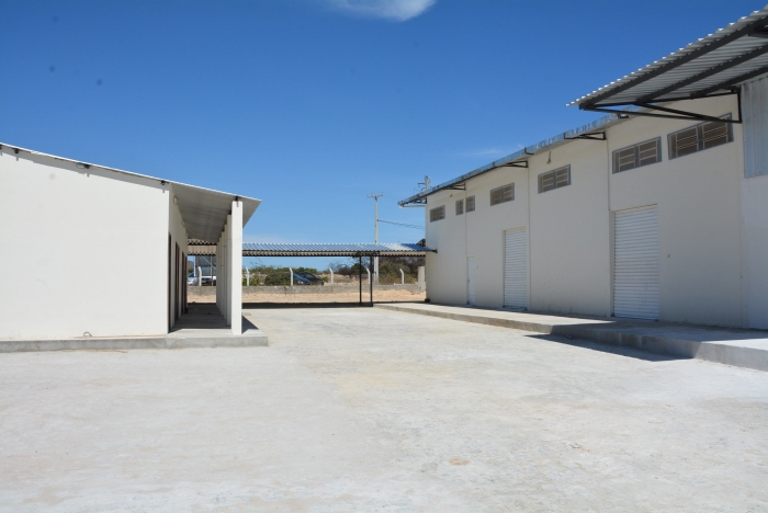 Cooperativa da agricultura familiar de Sobradinho se destaca na produção de acerola 