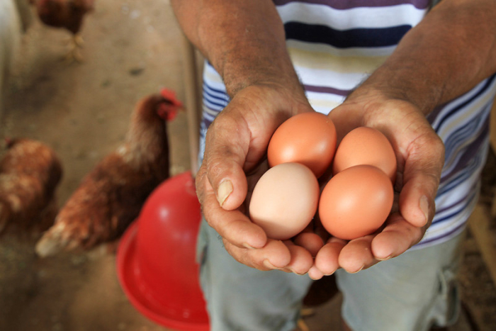 Fotos: Geraldo Carvalho