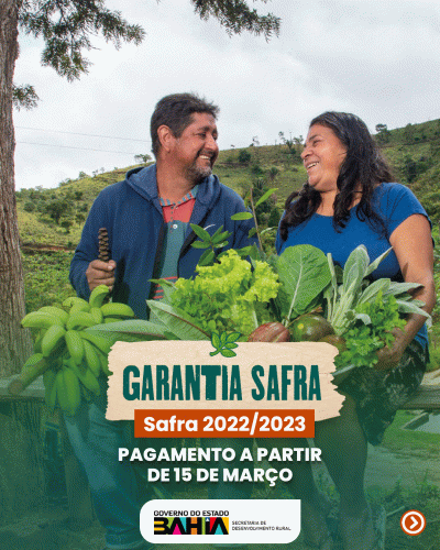 Garantia-Safra autoriza pagamento para mais de 216 mil agricultores familiares baianos&nbsp;