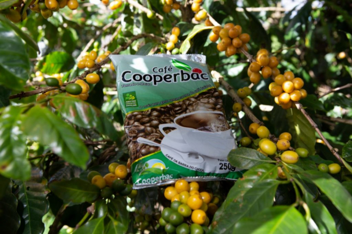 Com apoio de programas estaduais, Cooperbac muda realidade de Barra do Choça