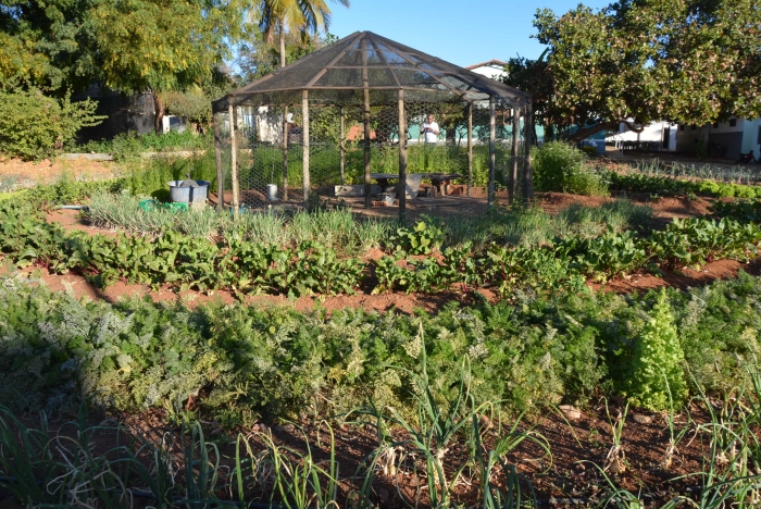 A implantação de quatro unidades voltadas para a Produção Agroecológica, Integrada e Sustentável (PAIS), na Escola Família Agrícola (EFA), localizada na comunidade do Bairro Zeca Batista, município de Tanque Novo, vem dando resultados positivos tanto para potencializar as aulas práticas, quanto para incrementar a renda na EFA, com a venda do excedente produzido na horta.  A ação, que teve investimento de R$61 mil, do Governo do Estado, por meio do Fundo Estadual de Combate e Erradicação à Pobreza (Funcep), foi executada pela Companhia de Desenvolvimento e Ação Regional (CAR), empresa pública vinculada à Secretaria de Desenvolvimento Rural (SDR) e está beneficiando 100 famílias. O projeto foi gerenciado pela Associação Beneficente Comunitária de Tanque Novo (Assobec), instituição que administra a EFA de Tanque Novo.  De acordo com o ex-estudante da EFA de Tanque Novo e monitor, Arielton Jesus, o projeto PAIS ajuda bastante, seja no cultivo de hortaliças orgânicas, seja para as aulas práticas dos estudantes: “Depois da parte teórica, trazemos os estudantes para a prática no campo, dentro da área da EFA. É importante que a gente cultive as hortaliças, tudo orgânico. E também o que os alunos aprendem aqui podem levar para as famílias e ajudar seus pais na comunidade. Eu tenho orgulho desse projeto, pois estudei nessa escola e hoje sou monitor. O recado que eu deixo é para que os alunos daqui tenham um bom futuro e depois que concluirem os estudos voltem para trabalhar aqui nessa escola”.  O monitor reforça a importância de os jovens que estudam na Escola Família Agrícola, ao invés de ir para longe, possam trabalhar na sua própria comunidade, em sua propriedade, colocando em prática seus conhecimentos e ajudando sua família a produzir as hortaliças orgânicas e reforçar a agricultura familiar.     “Por meio da parceria com associações e prefeituras, estão sendo construídos sistemas de hortas comunitárias, para incentivar os municípios agricultores a trabalhar a agroecologia, e também as boas práticas de produção, sem u