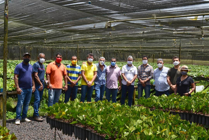 Agricultores familiares do Baixo Sul receberão mudas da Biofábrica da Bahia
