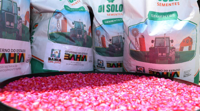 Em Macururé, Governo do Estado lança novos editais para a agricultura familiar e distribui 37 toneladas de leite em pó e meia tonelada de mel para equipamentos comunitários