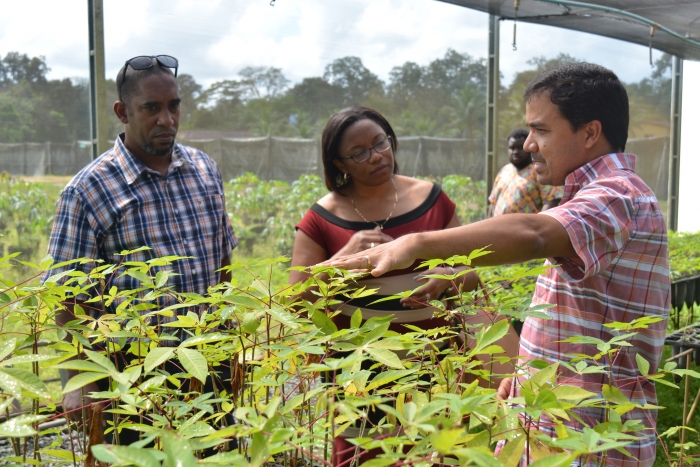 Cônsul Geral de Cuba visita a Biofábrica de Cacau e destaca interesse do país na cooperação com o Sul da Bahia