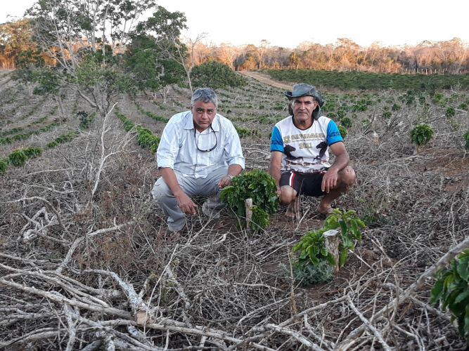 Sistema agroecológico é uma das soluções para a Conservação do Solo 