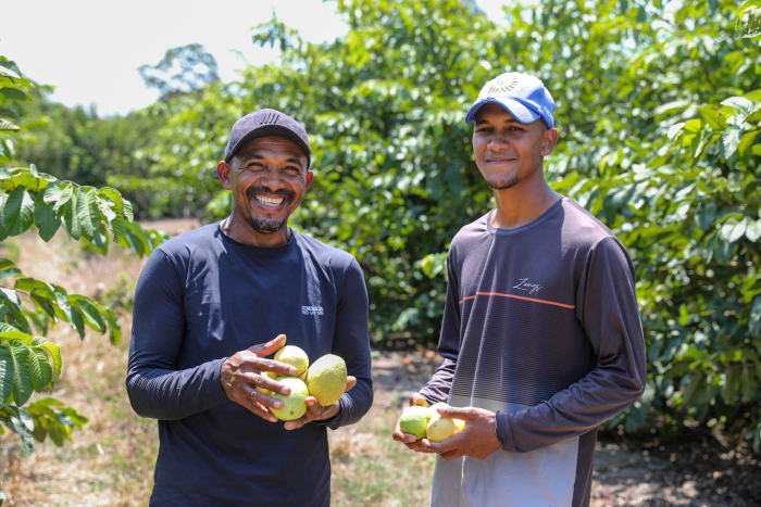 Fruticultura no Litoral Norte da Bahia é impulsionada com agroindústria_FT-Geraldo Carvalho (40)