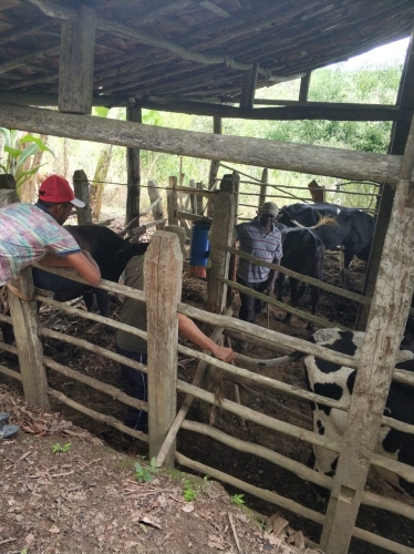 Orientação Bahiater Elísio Medrado