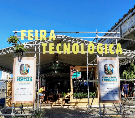 Balcão Científico e Tecnológico traz experiências desenvolvidas pela Embrapa