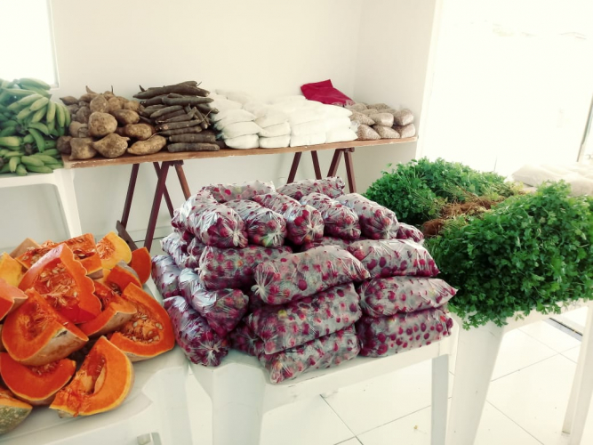 Assessoramento técnico viabiliza comercialização de famílias agricultoras de Sento Sé