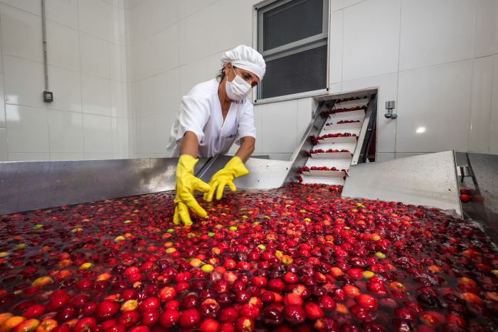 Fotos: André Frutuoso/Ascom CAR