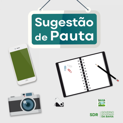 Pauta