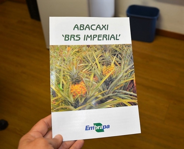 cartilha sobre abacaxi imperial