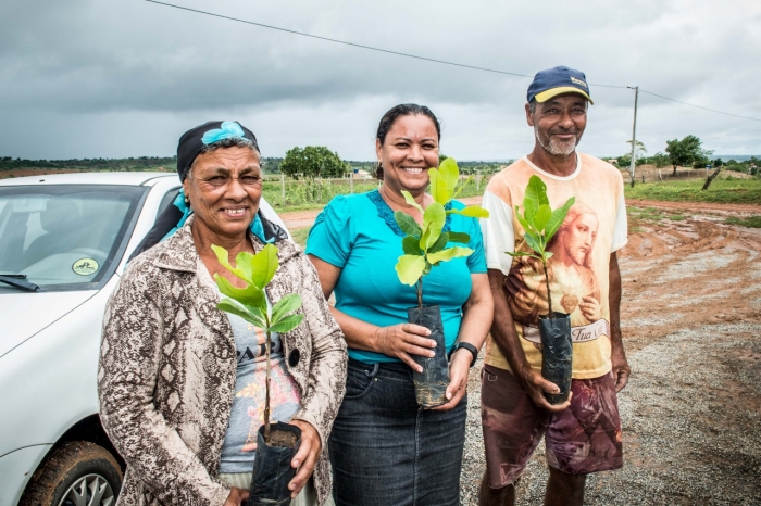Governo do Estado distribui mudas de cajueiro anão-precoce e impulsiona cadeia produtiva do caju na Bahia