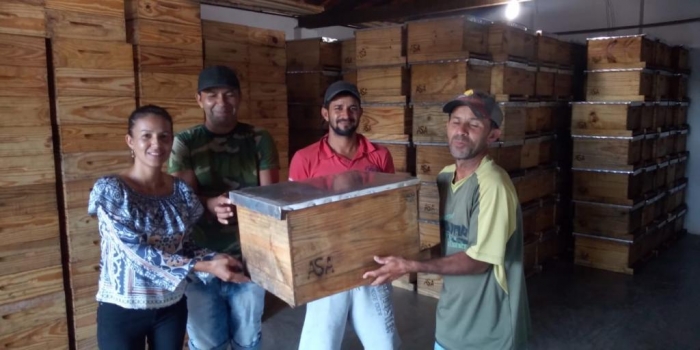 Comunidade rural de Monte Santo terá a produção de mel ampliada