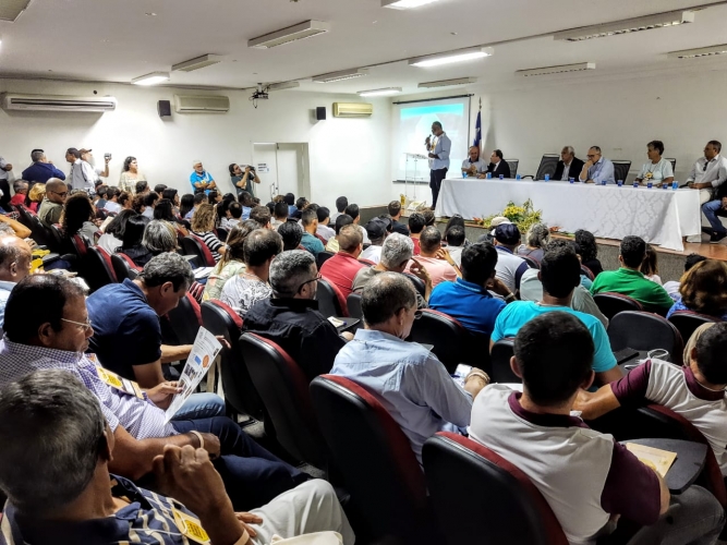 Salvador sedia encontro estadual de Meliponicultura