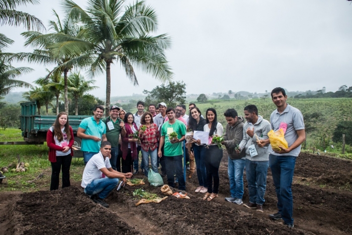 Bahia resgata conhecimento e utilização de plantas tradicionais