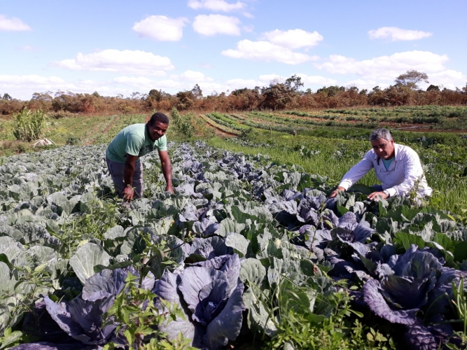 A Superintendência Baiana de Assistência Técnica e Extensão Rural (Bahiater), unidade da Secretaria de Desenvolvimento Rural (SDR), encerrou, nesta sexta-feira (23), no município de João Dourado, a Jornada da Agroecologia, envolvendo agricultores familiares de Mulungu do Morro e Canarana.     Na formação, os agricultores familiares foram conscientizados sobre a importância da agroecologia para a agricultura familiar e para o meio ambiente. Também receberam orientações sobre os microorganismos e o manejo ecológico do solo, além de aprenderem técnicas agroecológicas, a exemplo da produção de húmus, composto natural usado para o crescimento das plantas.  De acordo com Edvaldo Reinaldo, especialista em Agroecologia, da Bahiater/SDR, a política pública de assistência técnica e extensão rural (Ater) agroecológica é fundamental para o desenvolvimento da agricultura com sustentabilidade: “Essas ações esclarecem a importância da agroecologia e da prática de manejo de agroecossistemas sustentáveis para os agricultores familiares, alimentando um processo social evolutivo de construção do conhecimento agroecológico no Território de Irecê e na Bahia”.   José Bonifácio Borges de Almeida, agricultor familiar de João Dourado, diz que a jornada veio para ampliar seus conhecimentos sobre a pauta da agroecologia: “Produzo de tudo um pouco. São hortaliças, verduras e frutas agroecológicas. Toda vez que a Bahiater faz estas visitas, vou aprendendo mais, colocando a mão na prática, me aperfeiçoando e levando produto saudável para a mesa de todos”.  José Vital, agricultor familiar, da Fazenda Brisa, de João Dourado, afirmou que está ansioso para colocar em prática o que aprendeu: “Aprendi muita coisa. Fazer adubos, os defensivos. Vou iniciar uma plantação de hortaliça orgânica e eliminar adubos químicos, venenos. Buscar conhecimento para melhorar nosso trabalho é muito importante!”.
