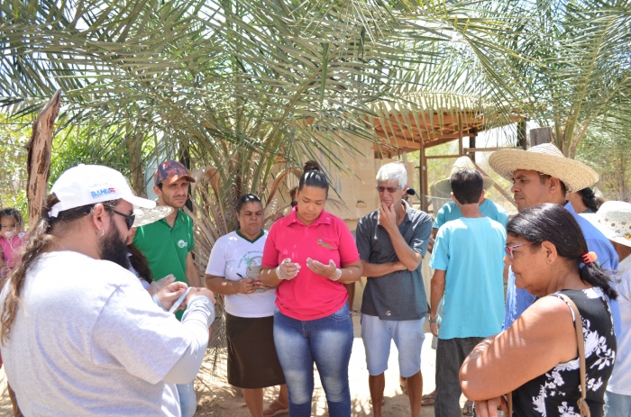 Agricultores familiares de Caém participam de mutirão e capacitação sobre vacinação de aves