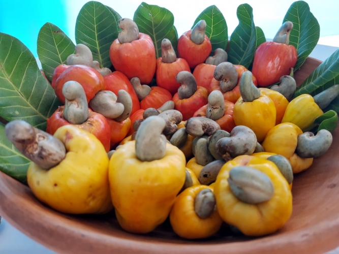 Investimentos do Governo do Estado em Banzaê são anunciados durante a III Expocaju