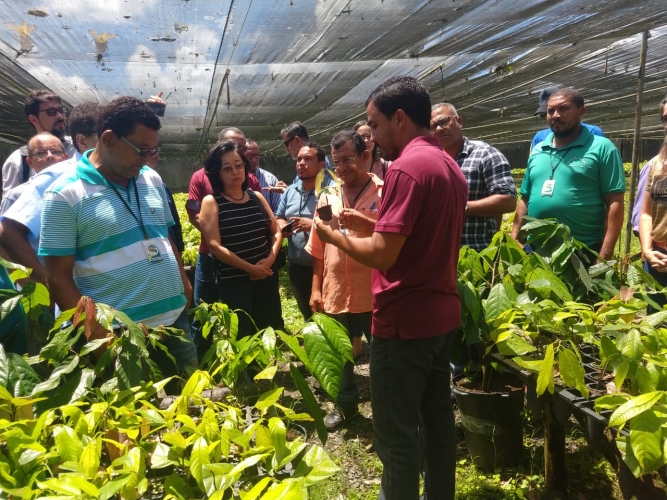 Encontro na Biofábrica da Bahia debate transição agroecológica do sistema produtivo do cacau