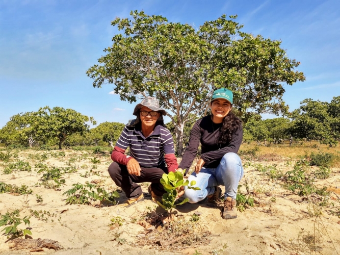 Agricultor familiar de Banzaê é referência em cajucultura no Semiárido Nordeste II