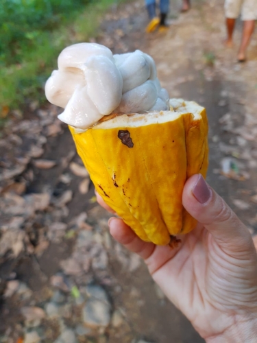Equipe da SDR visita sede de cooperativa no Assentamento Terra Vista